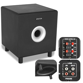 Aktywny Subwoofer SHFS10B 10 "