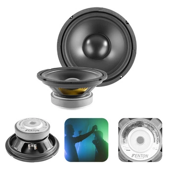 Głośnik niskotonowy Hi-Fi 200W Fenton