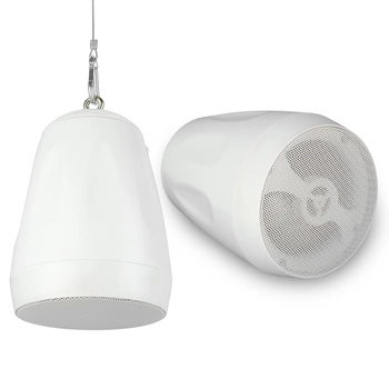 Głośnik wiszący 5,5''1szt 30W/100V AW32-W biały Audioport